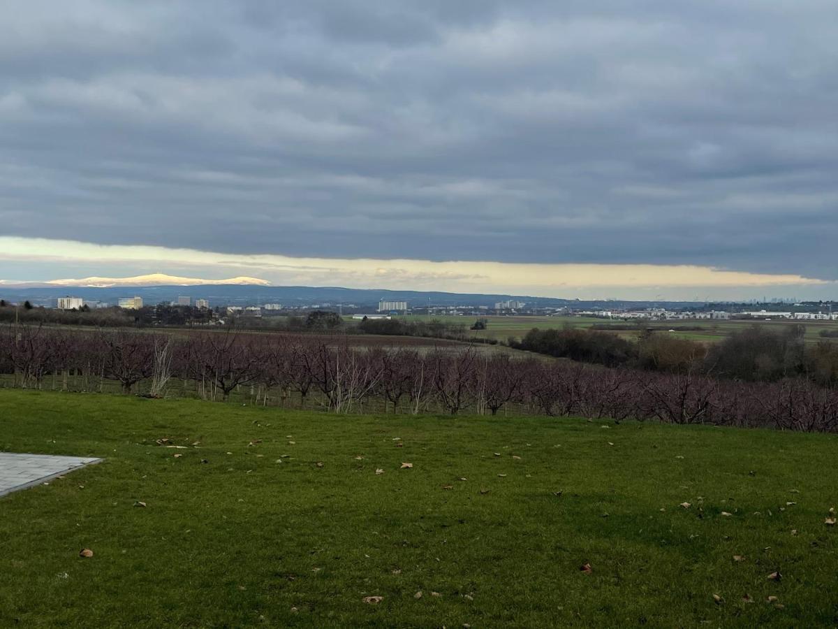 Weingut Bugner Meizelhof Klein-Winternheim Exterior photo